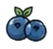 Blueberry Facial